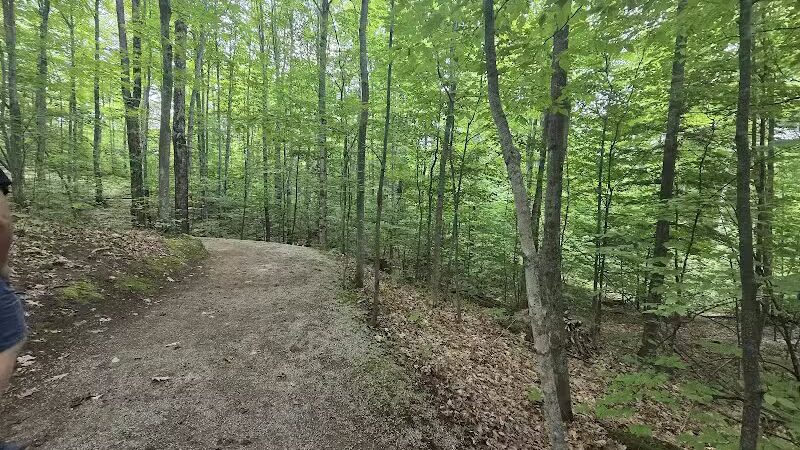 Perkins Park - Big Bay, MI