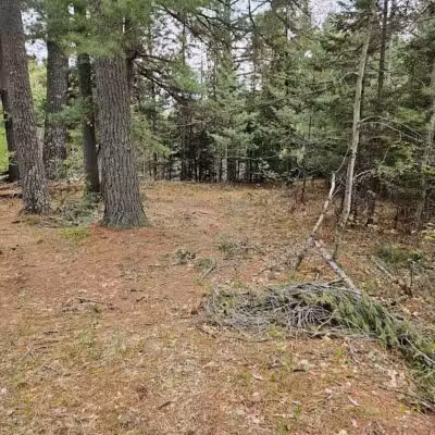 Luzerne Boardwalk for the shore to shore horseback and hiking trail. - Big Creek Township,