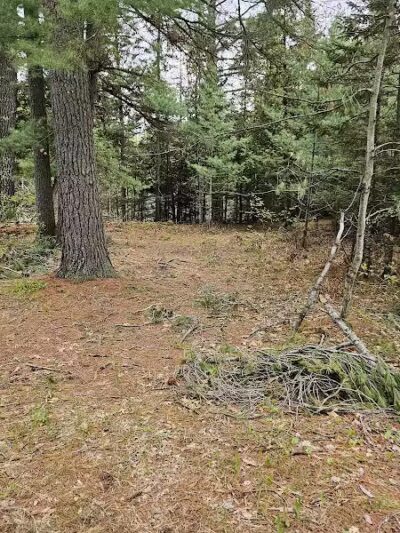 Luzerne Boardwalk for the shore to shore horseback and hiking trail. - Big Creek Township,