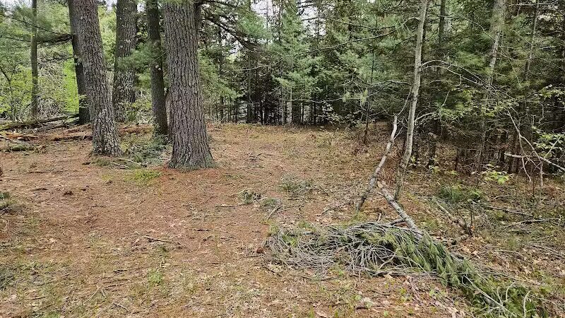 Luzerne Boardwalk for the shore to shore horseback and hiking trail. - Big Creek Township,