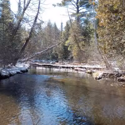 Luzerne Boardwalk for the shore to shore horseback and hiking trail. - Big Creek Township,