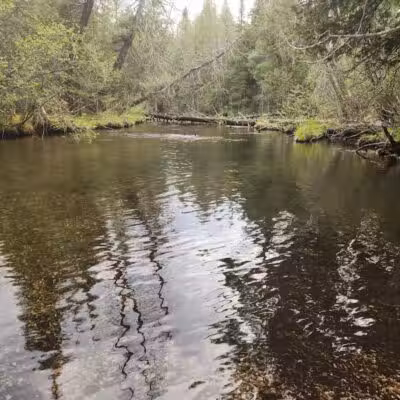 Luzerne Boardwalk for the shore to shore horseback and hiking trail. - Big Creek Township,