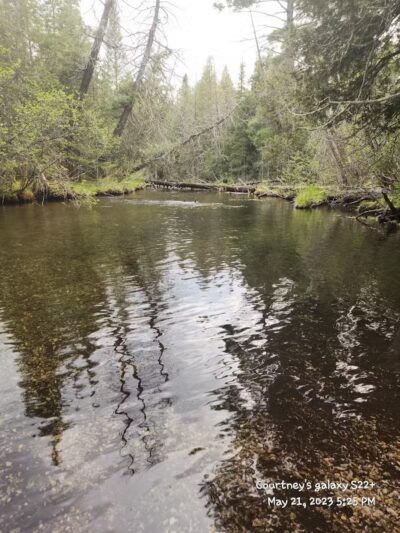 Luzerne Boardwalk for the shore to shore horseback and hiking trail. - Big Creek Township,