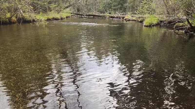 Luzerne Boardwalk for the shore to shore horseback and hiking trail. - Big Creek Township,