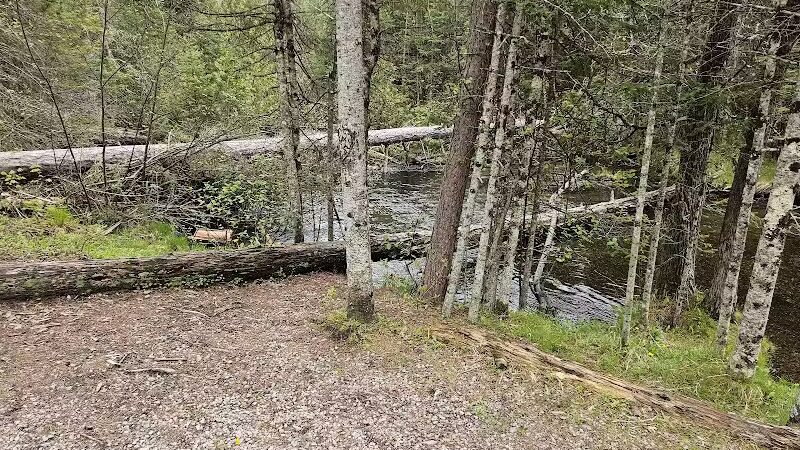 Luzerne Boardwalk for the shore to shore horseback and hiking trail. - Big Creek Township,