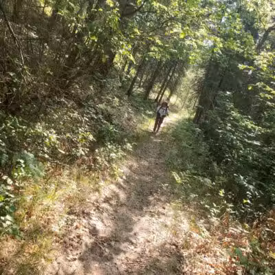 Luzerne Boardwalk for the shore to shore horseback and hiking trail. - Big Creek Township,