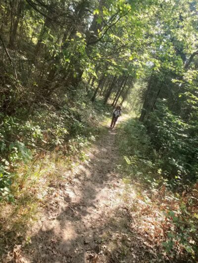Luzerne Boardwalk for the shore to shore horseback and hiking trail. - Big Creek Township,