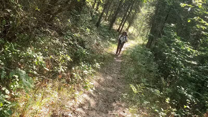 Luzerne Boardwalk for the shore to shore horseback and hiking trail. - Big Creek Township,