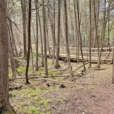 Luzerne Boardwalk for the shore to shore horseback and hiking trail. - Big Creek Township,