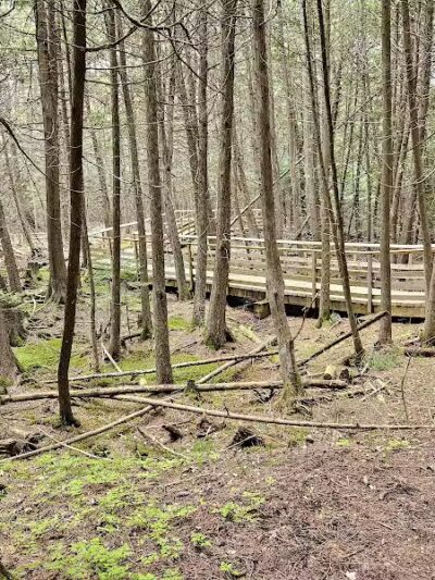 Luzerne Boardwalk for the shore to shore horseback and hiking trail. - Big Creek Township,