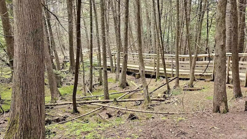 Luzerne Boardwalk for the shore to shore horseback and hiking trail. - Big Creek Township,