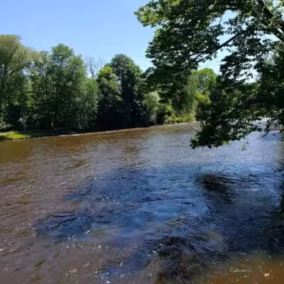 Brutus Dog Park - Big Rapids, MI
