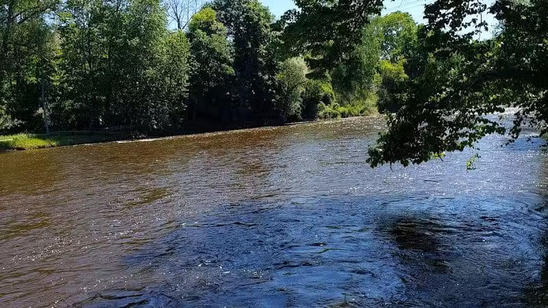 Brutus Dog Park - Big Rapids, MI