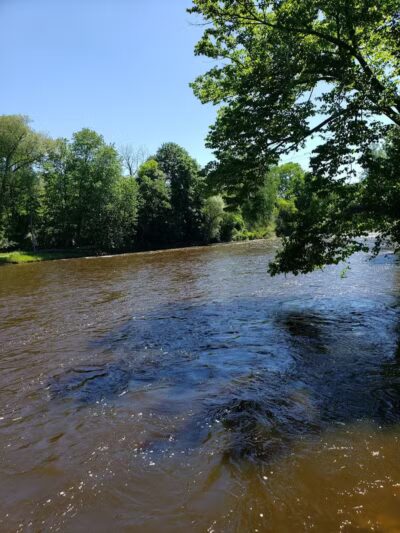 Brutus Dog Park - Big Rapids, MI