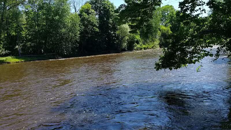 Brutus Dog Park - Big Rapids, MI