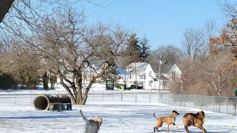 Brutus Dog Park - Big Rapids, MI