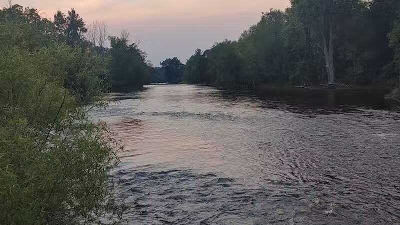Brutus Dog Park - Big Rapids, MI