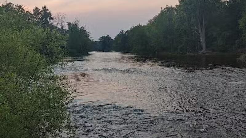 Brutus Dog Park - Big Rapids, MI