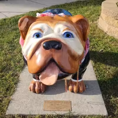 Brutus Dog Park - Big Rapids, MI