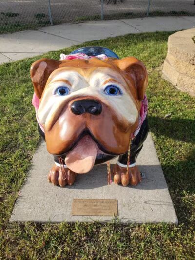 Brutus Dog Park - Big Rapids, MI