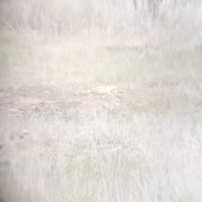 Greycliff Prairie Dog Town State Park - Big Timber, MT