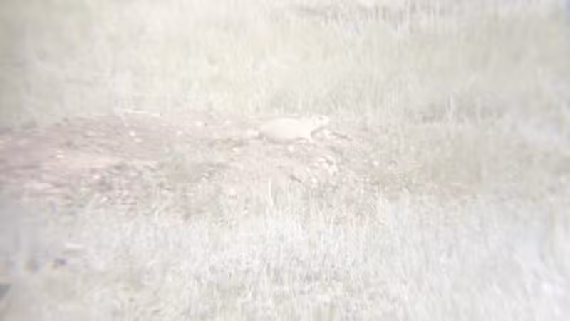 Greycliff Prairie Dog Town State Park - Big Timber, MT