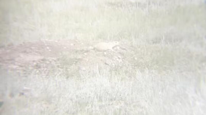 Greycliff Prairie Dog Town State Park - Big Timber, MT