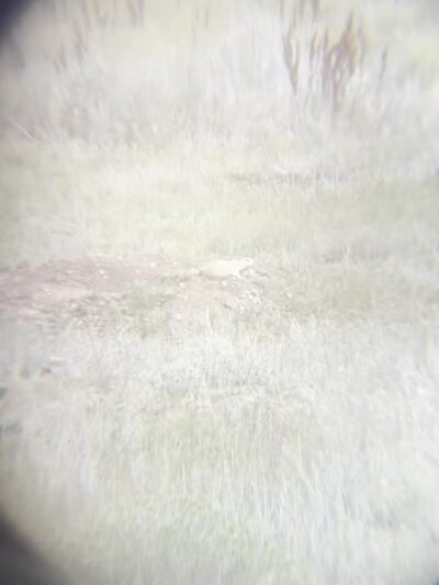 Greycliff Prairie Dog Town State Park - Big Timber, MT