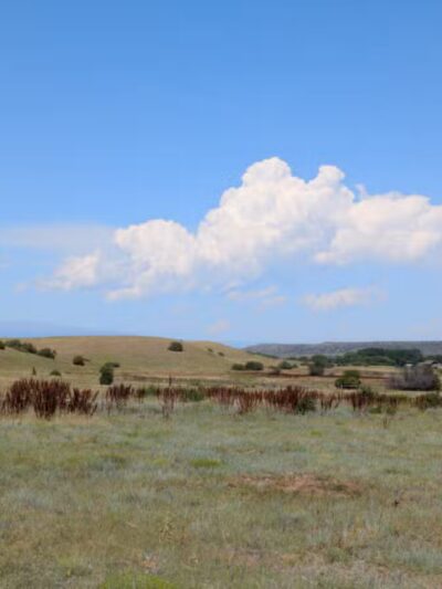 Greycliff Prairie Dog Town State Park - Big Timber, MT