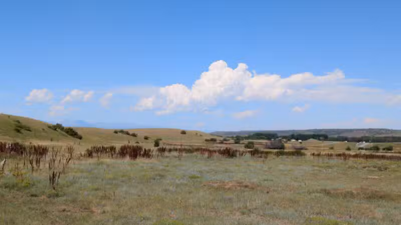 Greycliff Prairie Dog Town State Park - Big Timber, MT
