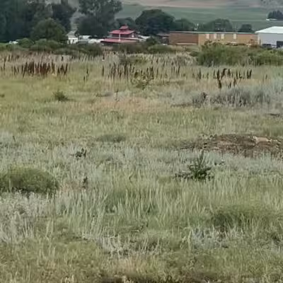 Greycliff Prairie Dog Town State Park - Big Timber, MT