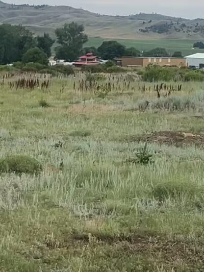 Greycliff Prairie Dog Town State Park - Big Timber, MT