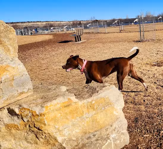 Centennial Dog Park - Billings, MT