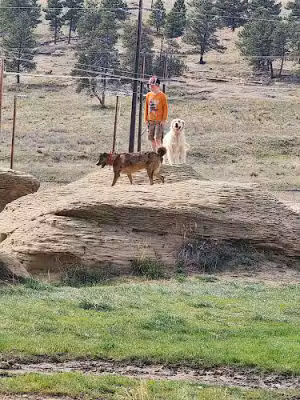 High Sierra Dog Park - Billings, MT