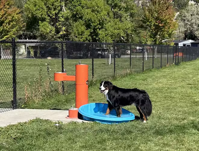 North Park Dog Park - Billings, MT
