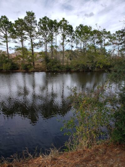 Pixie’s Memorial Dog Park of Hiller Park - Biloxi, MS