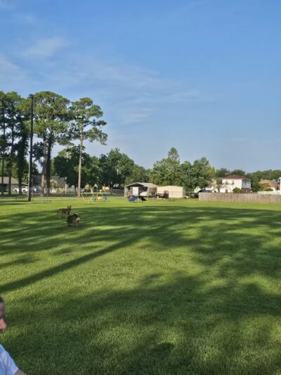 Popp’s Ferry Dog Park - Biloxi, MS