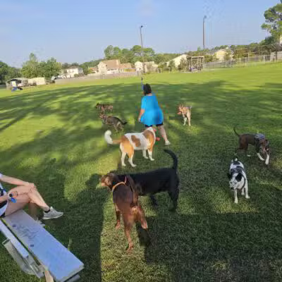 Popp’s Ferry Dog Park - Biloxi, MS