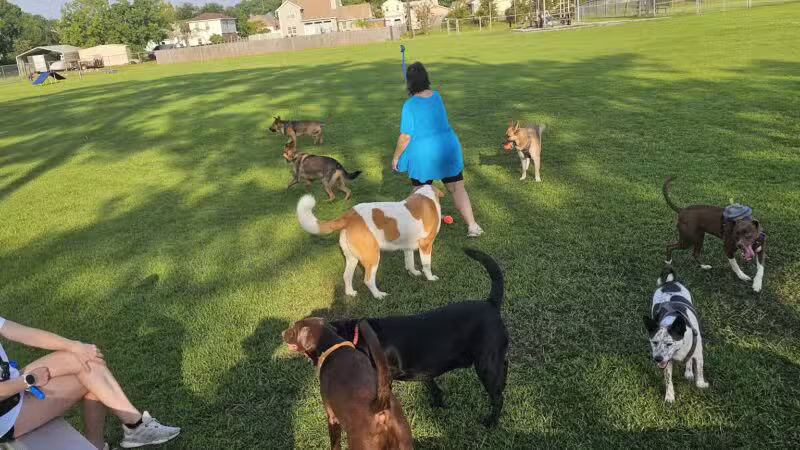 Popp’s Ferry Dog Park - Biloxi, MS