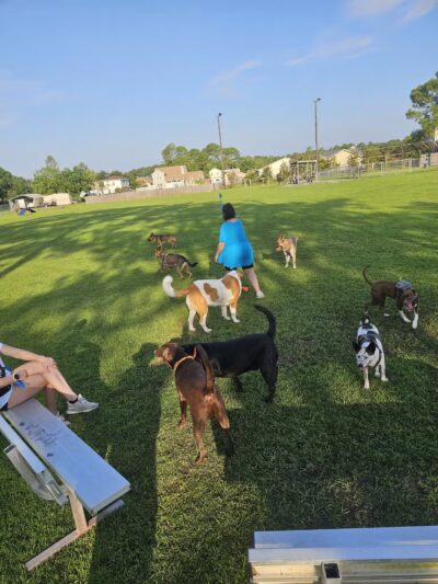 Popp’s Ferry Dog Park - Biloxi, MS