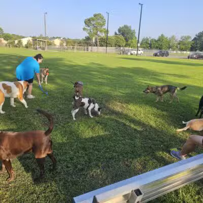 Popp’s Ferry Dog Park - Biloxi, MS