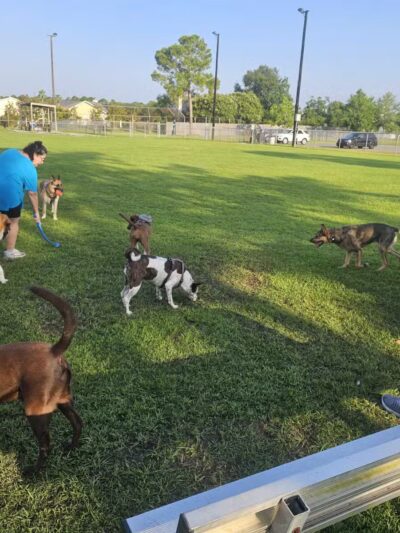 Popp’s Ferry Dog Park - Biloxi, MS
