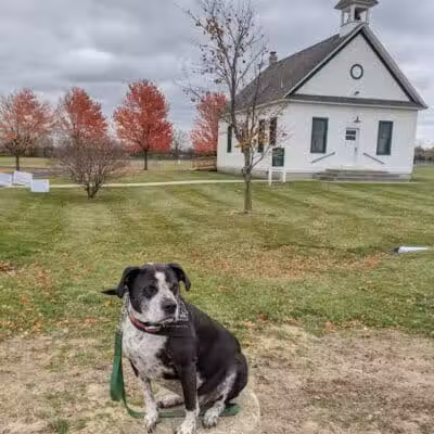 Birch Run Community Park - Birch Run, MI