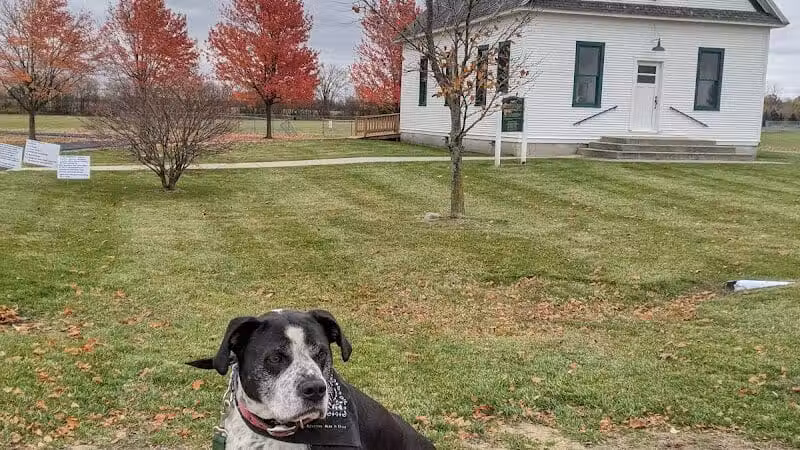 Birch Run Community Park - Birch Run, MI