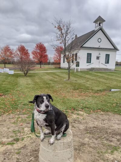 Birch Run Community Park - Birch Run, MI