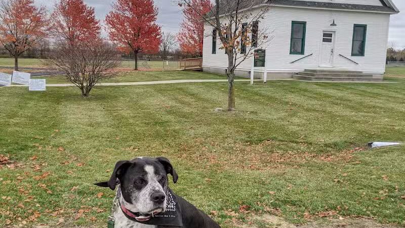 Birch Run Community Park - Birch Run, MI