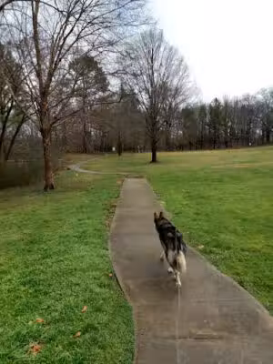 Green Springs Dog Park - Birmingham, AL