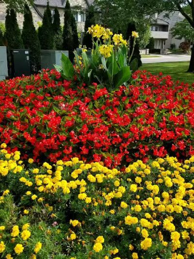 Barnum Park - Birmingham,