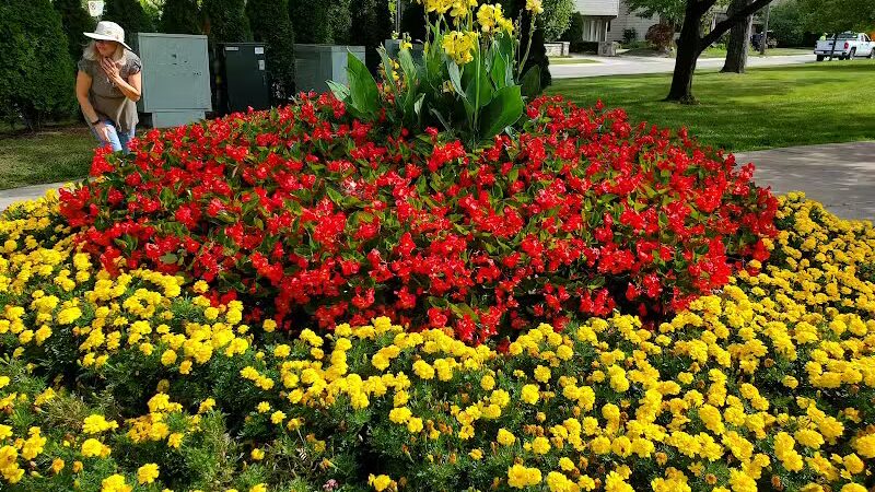 Barnum Park - Birmingham,