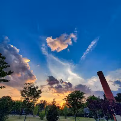 Barnum Park - Birmingham,